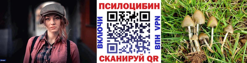 OMG ТОР  Теберда  Галлюциногенные грибы Psilocybe 